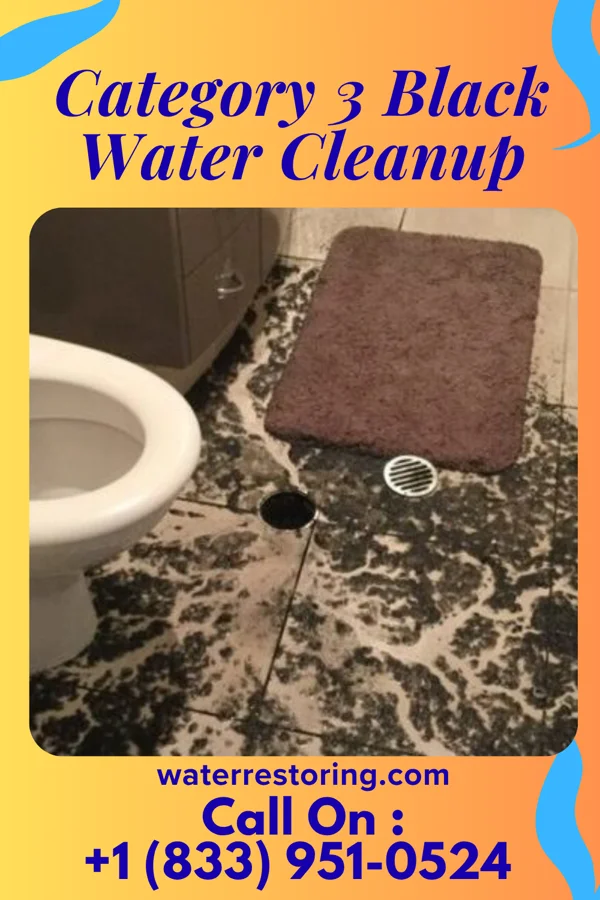 Category 3 Black Water Cleanup in Macomb, OK