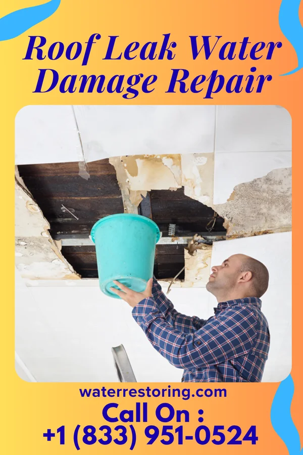 Roof Leak Water Damage Repair in Macomb, OK