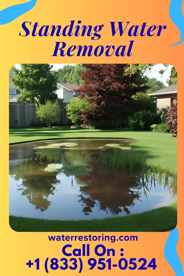 Standing Water Removal in Macomb, OK